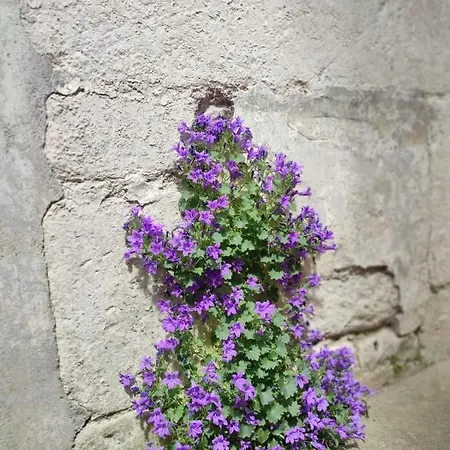 L'escale Niortaise - Centre-ville - 10mn Gare - Wifi - Netflix *