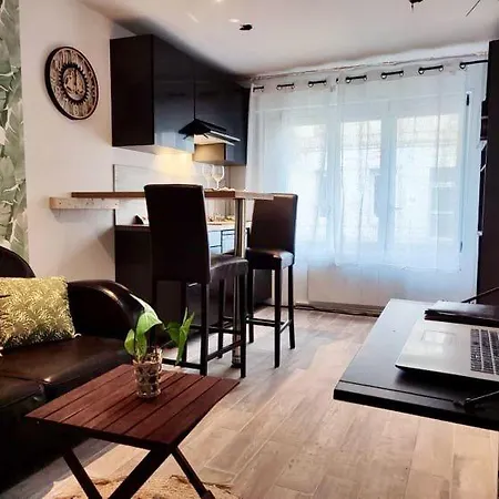 L'escale Niortaise - Centre-ville - 10mn Gare - Wifi - Netflix Appartamento *