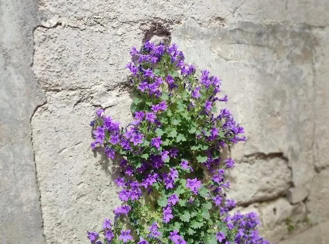 L'escale Niortaise - Centre-ville - 10mn Gare - Wifi - Netflix *