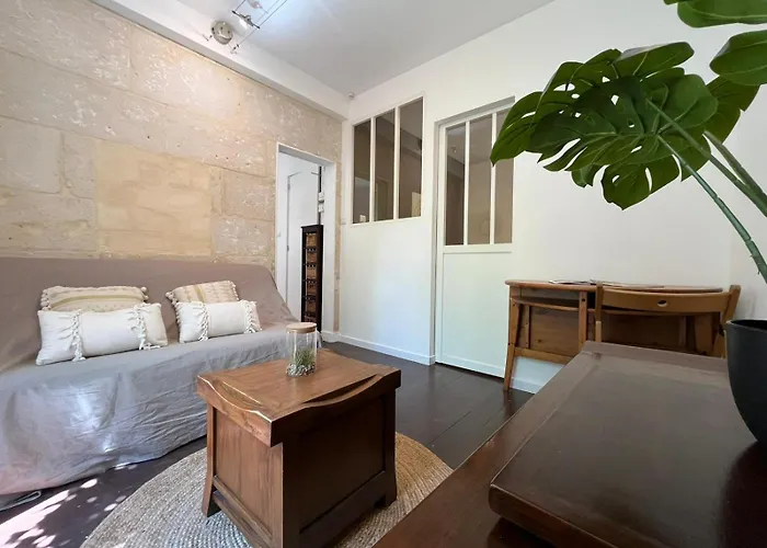 L'escale Niortaise - Centre-ville - 10mn Gare - Wifi - Netflix Apartment Niort