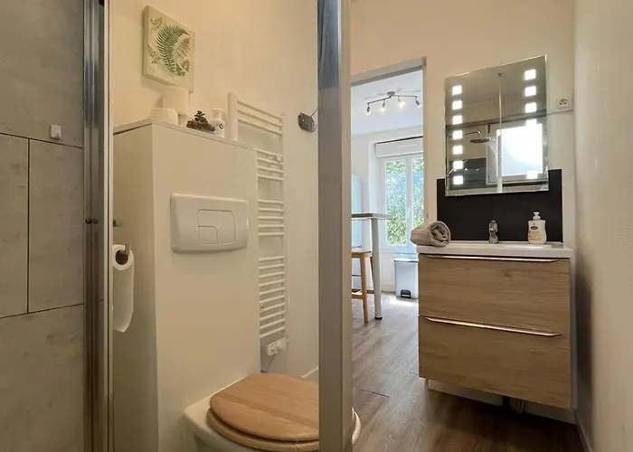 L'escale Niortaise - Centre-ville - 10mn Gare - Wifi - Netflix * Niort