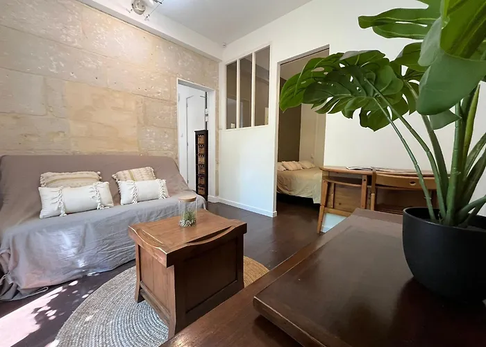 Apartment L'escale Niortaise - Centre-ville - 10mn Gare - Wifi - Netflix